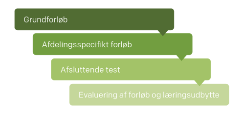 Illustration af forløbet for internt kompetenceløft